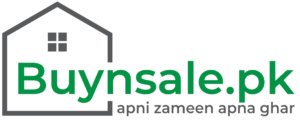 buynsale Logo